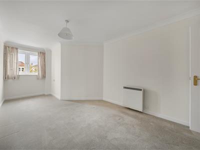 Picture 11